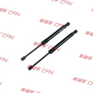 Strut - Tailgate Strut L/R