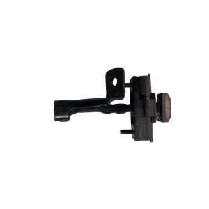 Model 3 Front Door Check Strap L