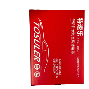 Model S Custom A/C Filter (Pre-2016)