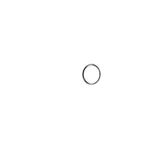 Denso Scroll Steel Ring