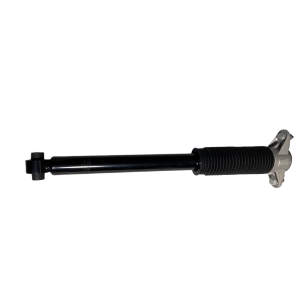 Model 3/Y Rear Shock Absorber