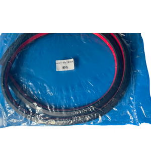 Model 3 Door Seal Front Right